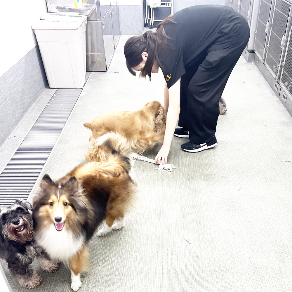 室内でＷａｎ活♪